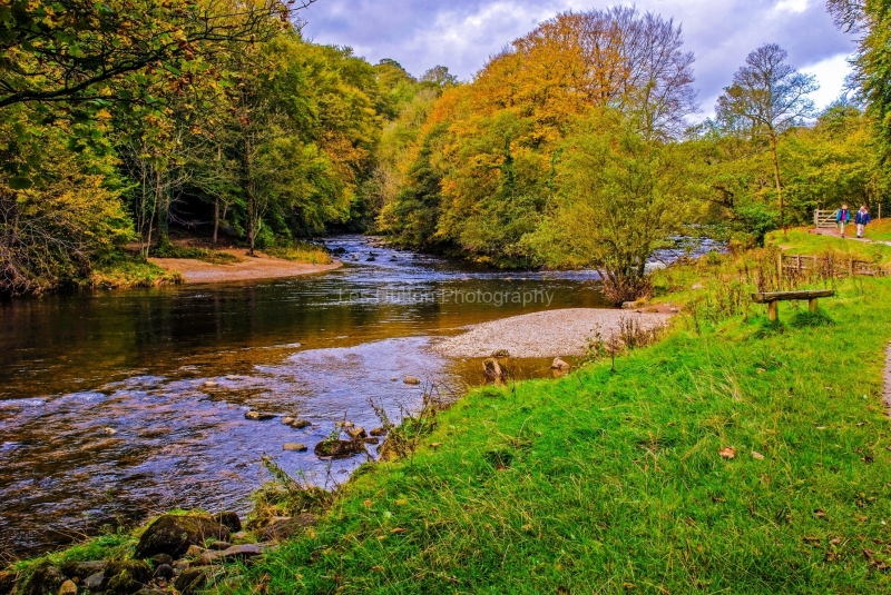 Bolton Abbey - River Wharfe