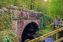 Bolton Abbey - Old Road Bridge