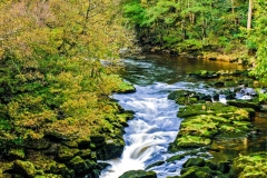 Bolton Abbey - Upper Strid