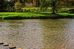 Bolton Abbey - Stepping Stones