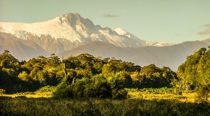 New-Zealand-2005-170