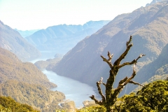 New-Zealand-2005-107