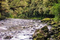 New-Zealand-2005-126