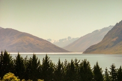 New-Zealand-2005-156