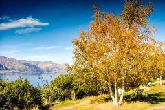 New-Zealand-2005-157