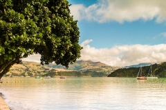 New-Zealand-2005-31