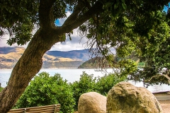 New-Zealand-2005-33