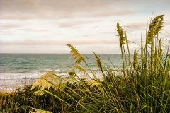 New-Zealand-2005-59