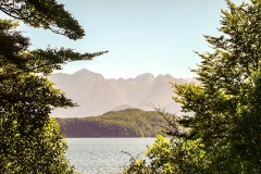New-Zealand-2005-97