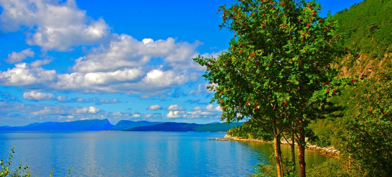 Sognefjord