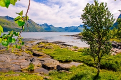 Fjord near Lesknes