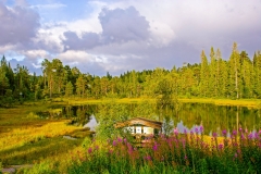Lomt Jonna