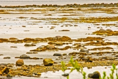 Low Water Porsangenfjord