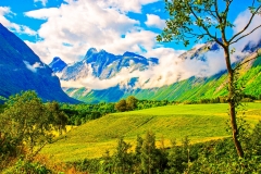 Meadow in Norway