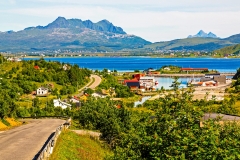Nappsskardet