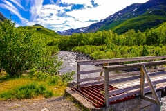 Reissa National Park Footbridge