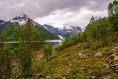Salnes Glacier distance