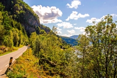 Sognefjord Shoreline