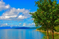 Sognefjord