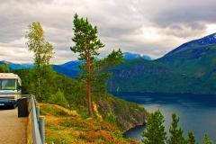 Winni in Norway
