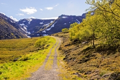 Ytre Svartvikka Track to the Hills