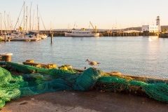 Fishing Nets