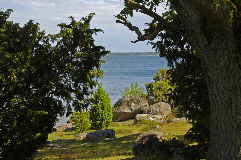 Kuggaboda-Nature-Reserve-Peep-Through