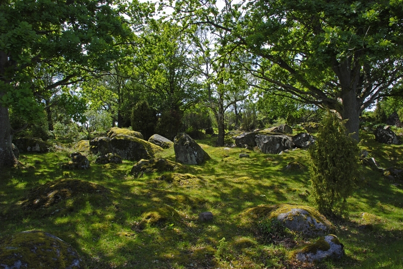 Kuggaboda-Nature-Reserve-Shady-Dell