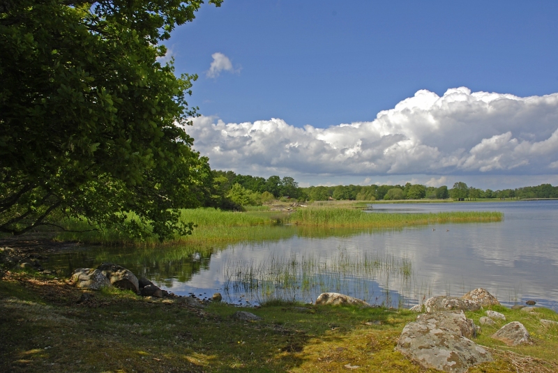 Kuggaboda-Nature-Reserve-Shoreline