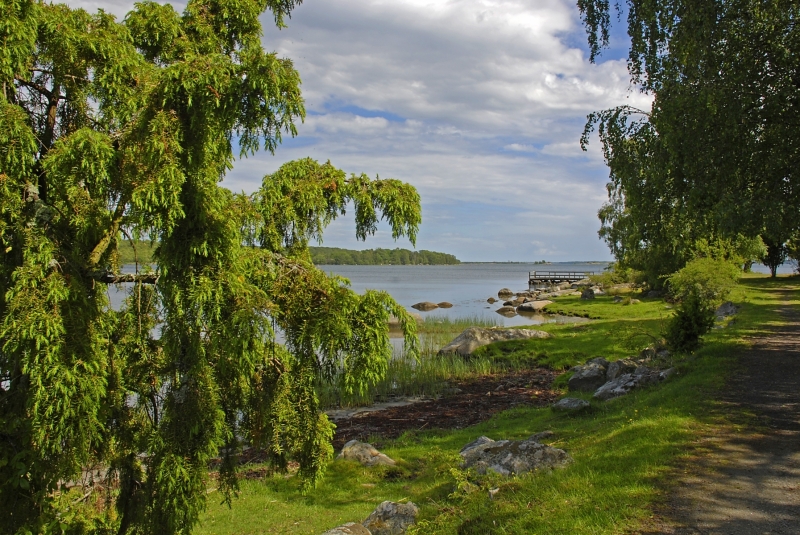 Kuggaboda-Nature-Reserve-Shoreline2
