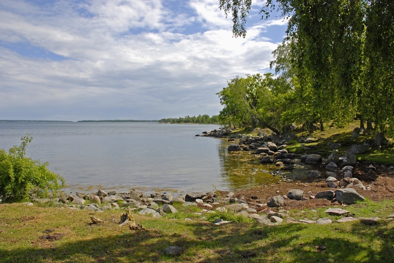 Kuggaboda-Nature-Reserve-Shoreline3