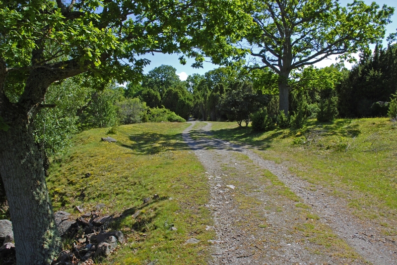 Kuggaboda-Nature-Reserve-Track