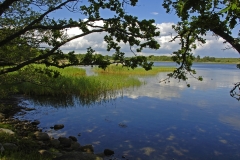 Kuggaboda-Nature-Reserve