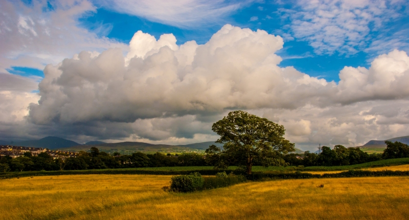 Sulky Snowdonia Mountains