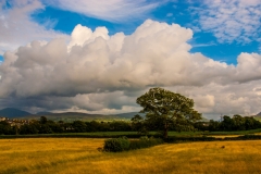 Sulky Snowdonia Mountains