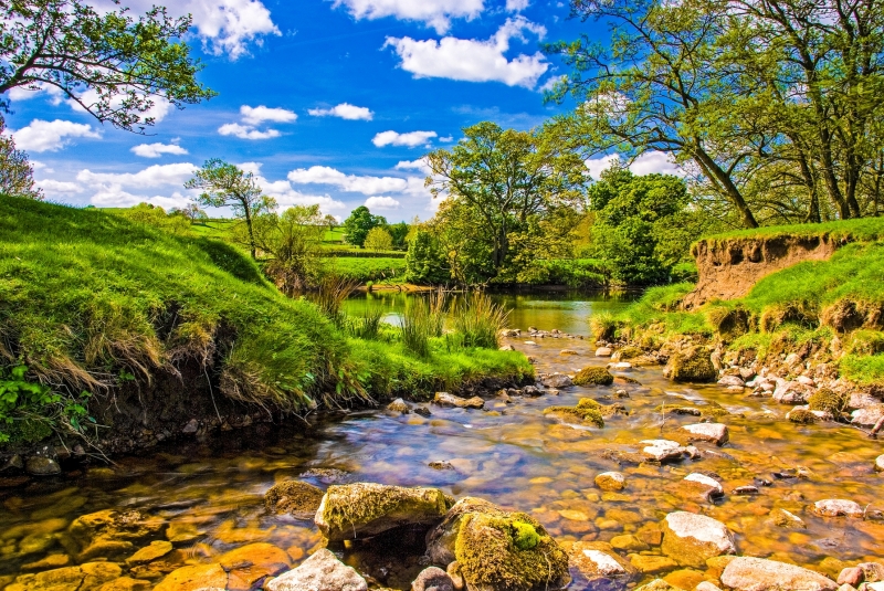 Aysgarth - Eller Beck
