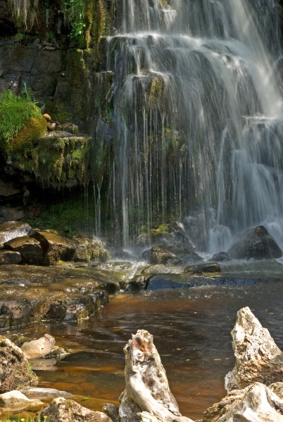 Swaledale Driftwood