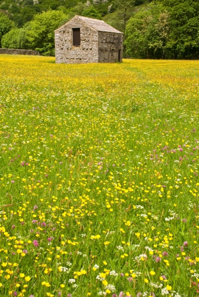 Swaledale Field Barn