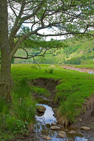 Swaledale Shady Brook