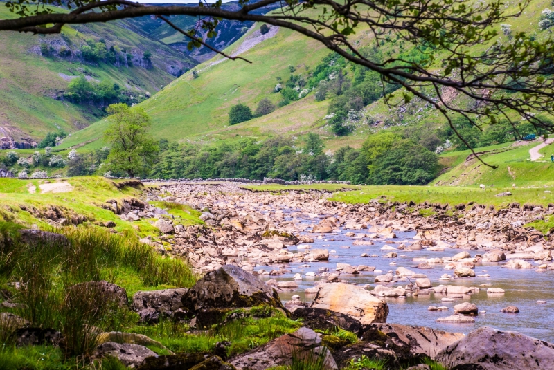 Sunlit Beck In Swaledale
