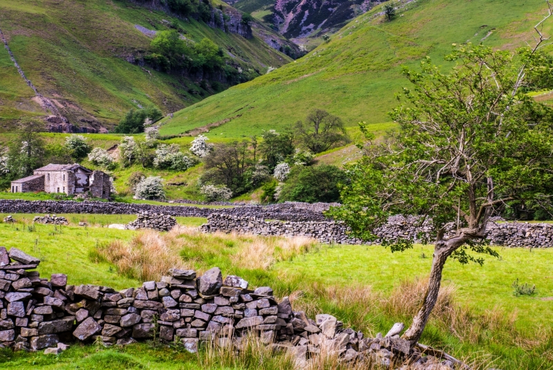 Tumbledown Dry Stone Walls