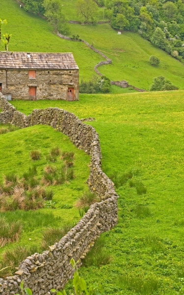 Swaledale Walls