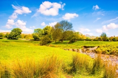 Aysgarth's Eller Beck looking upstream