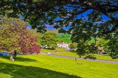 Bainbridge Village Green
