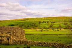 Raydale Field Barns