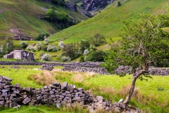 Tumbledown Dry Stone Walls