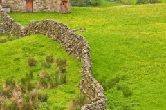 Swaledale Walls