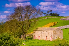 Wensleydale Barn